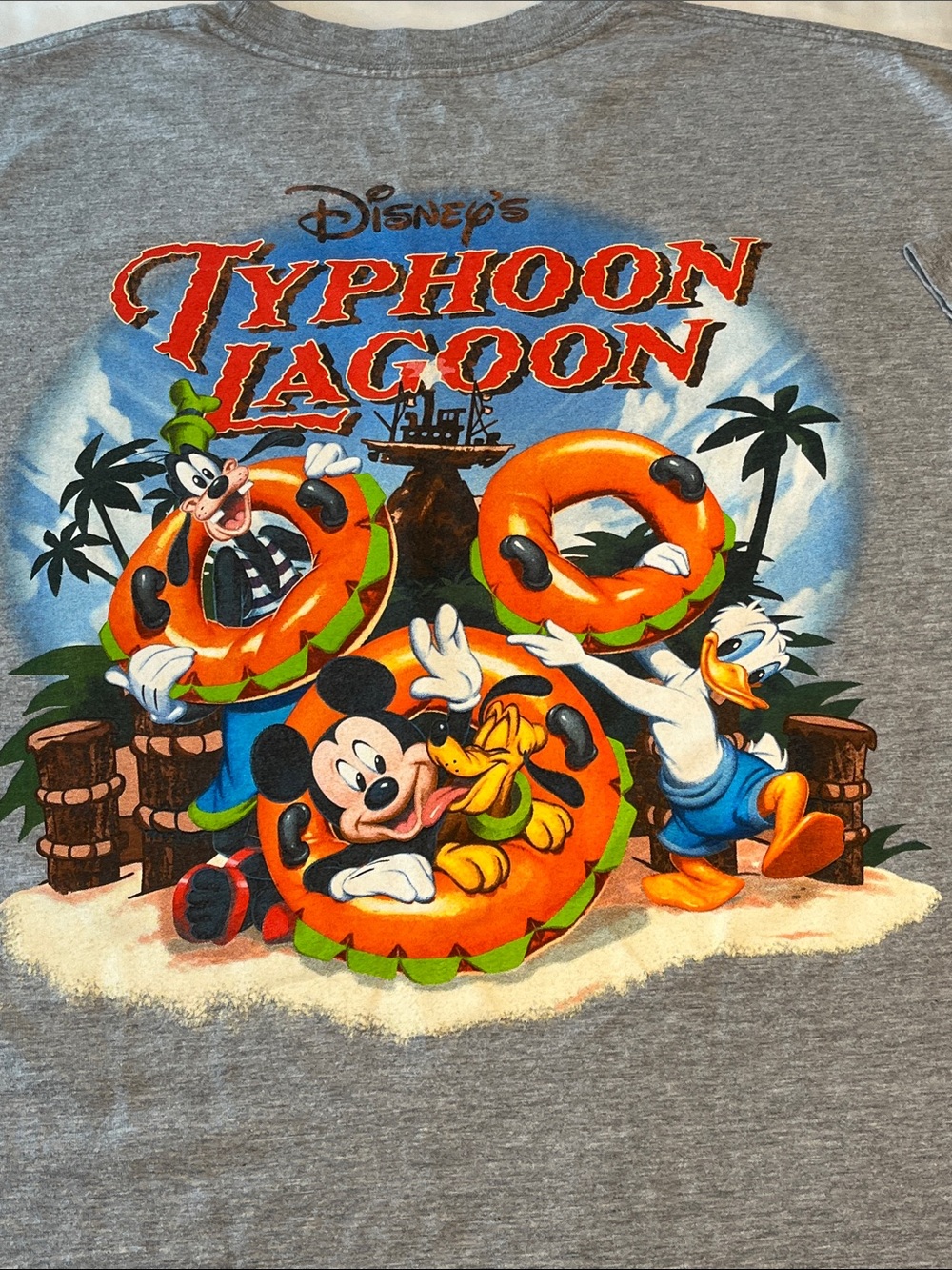 Disney Parks Typhoon Lagoon Mickey Goofy Donald T-Shirt Gray 2XL